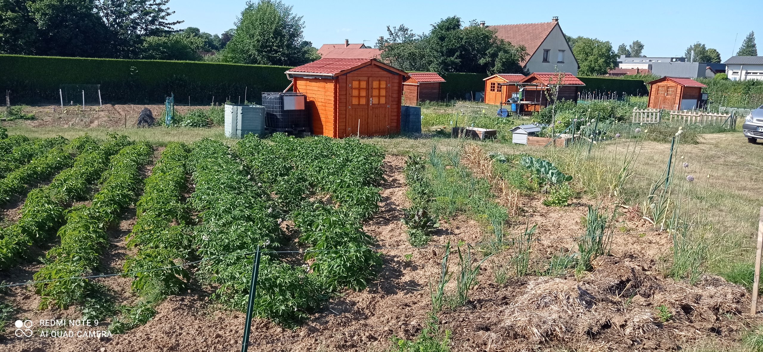 Jardins familiaux de Crèvecœur-le-Grand